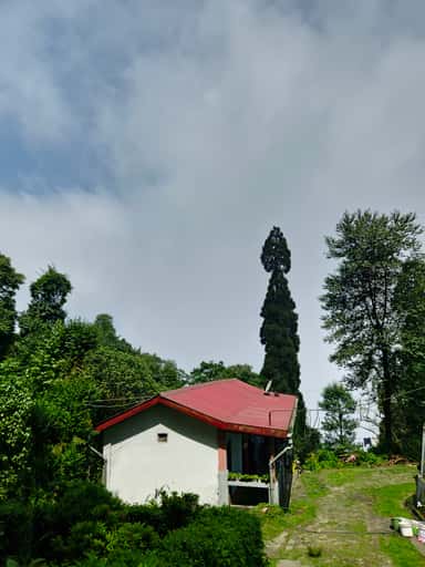 Home in the Hills