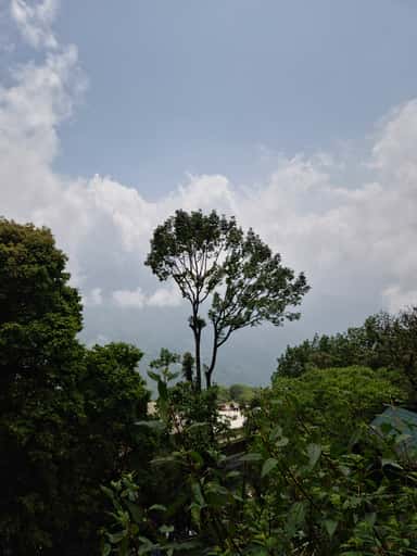 The Lone Reach
